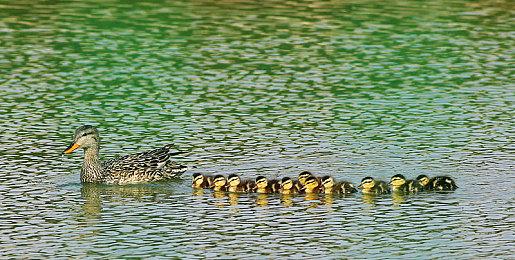 KK对战平台“再战WAR3二十年”线下庆典圆满落幕！